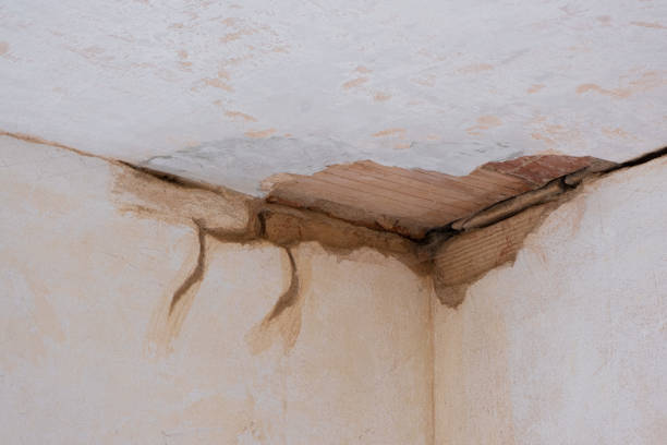 Best Water damage cleanup near me  in Berwyn, PA