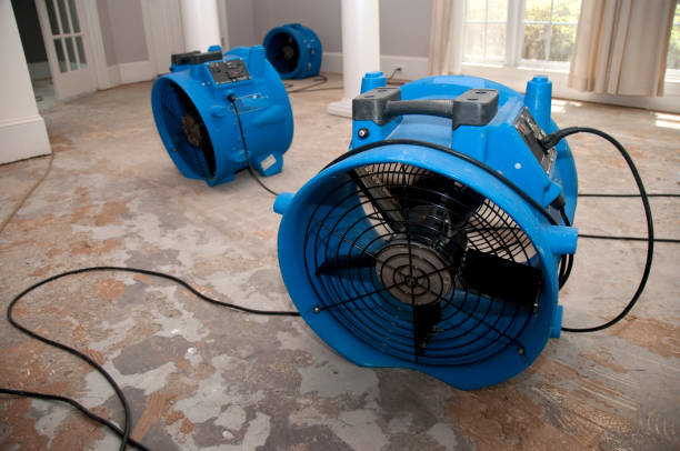 Best 24-hour water damage restoration  in Berwyn, PA