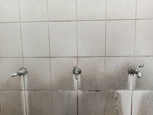 Best Sewage cleanup and water damage restoration  in Berwyn, PA