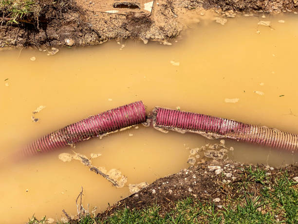 Best Carpet water damage restoration  in Berwyn, PA