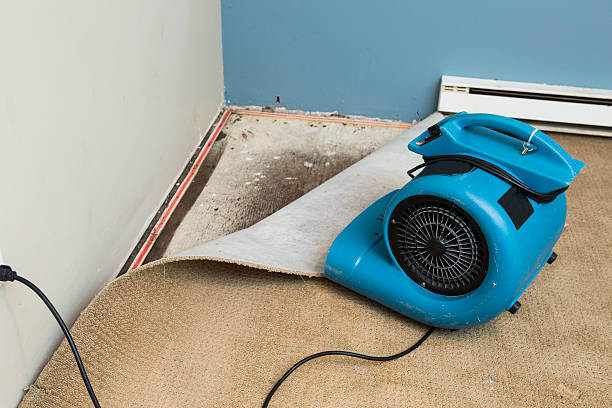 Best Professional water damage repair  in Berwyn, PA